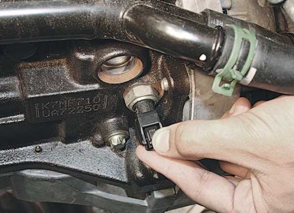 Профилактика