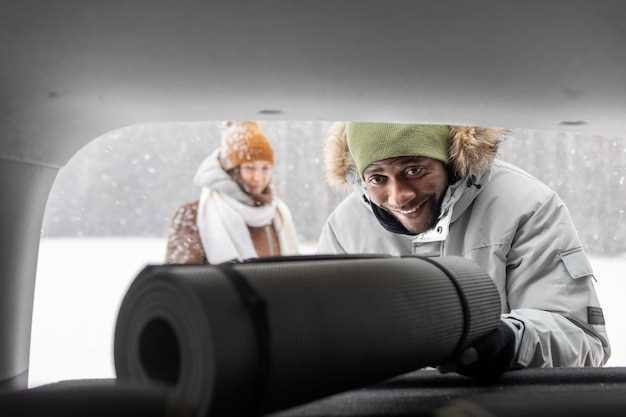 printsip-raboti-tsirkulyatsii-vozduxa-v-peugeot-kak-obespechit-komfort-v-v