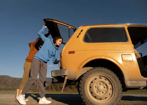 problemi-s-perednim-mostom-na-tojote-surf-185-prichini-i-reshenie