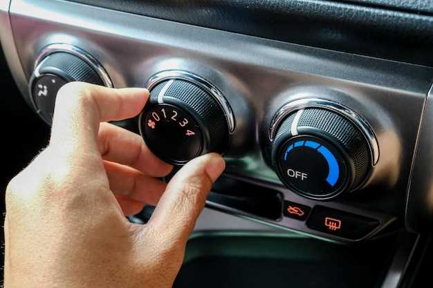 regulyator-xolodnogo-puska-audi-a100-ustranenie-problem-i-soveti-po-rem